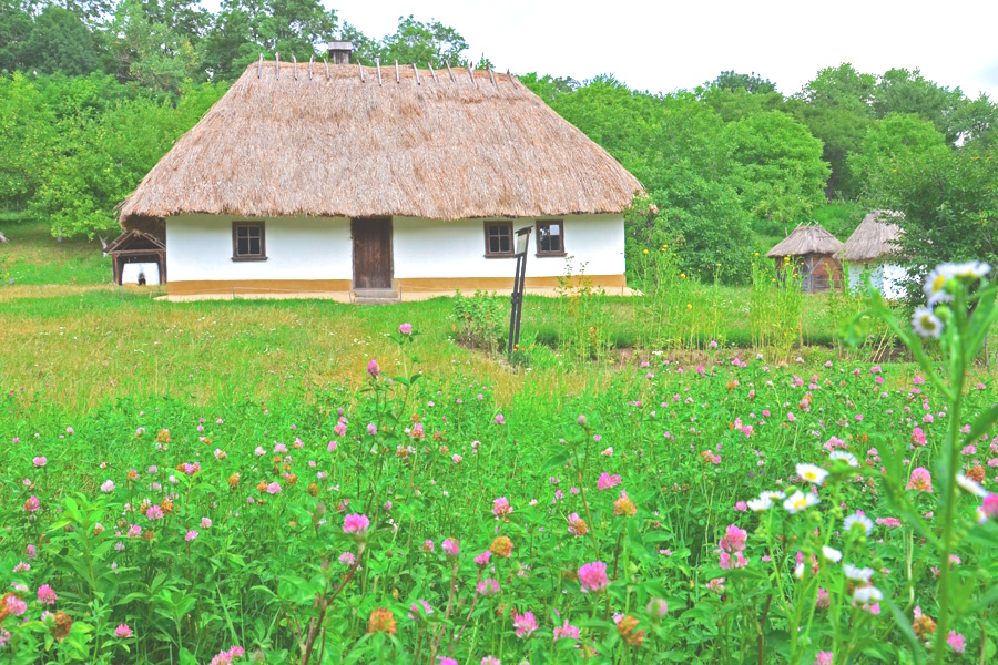 САДИБА, с. Вікно